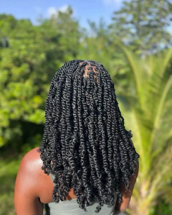 Mini twist ou mini braid sur cheveux naturel
