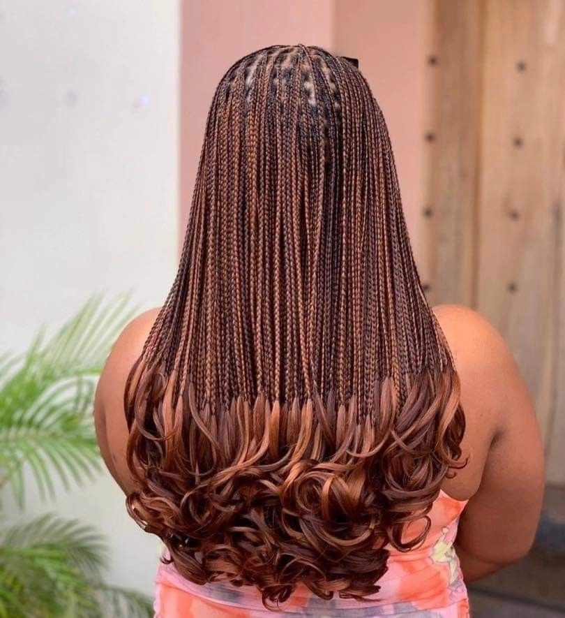 French Curls Braids -Taille 2 / omoplates