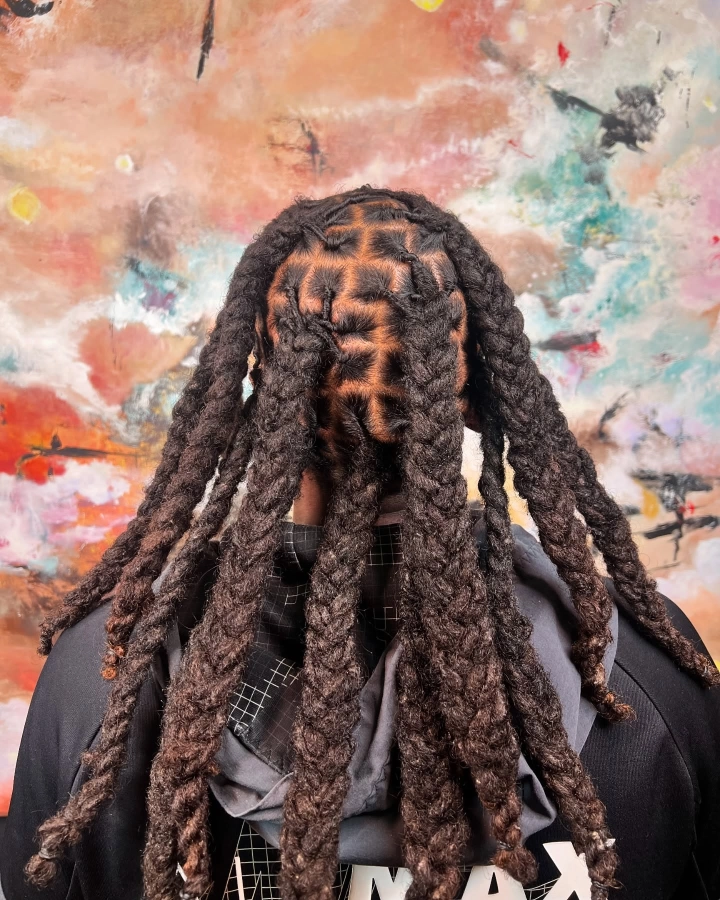 Reprise de locks en twist + nattes