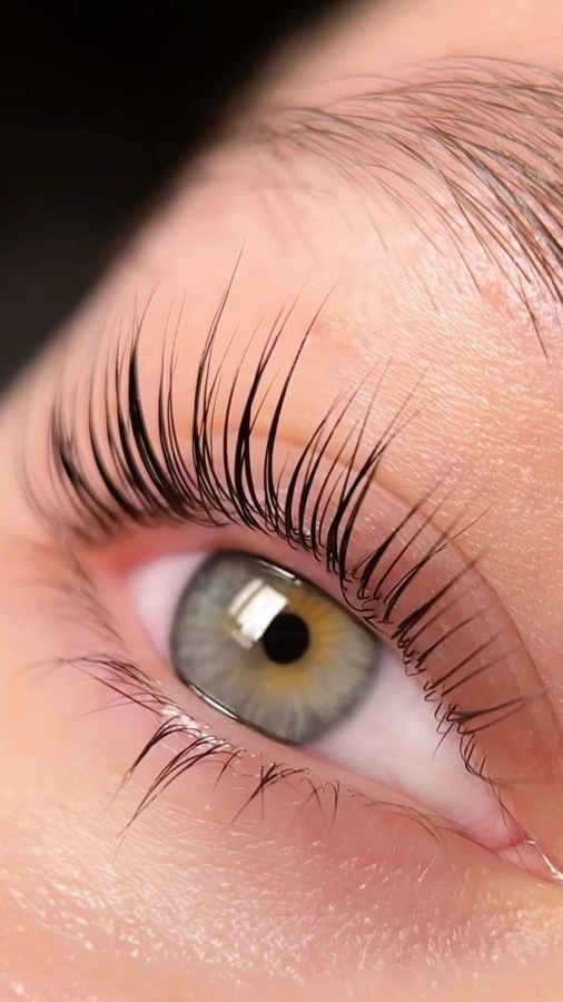 Réhaussement + Teinture Cils + massage nuque et crâne 70mn