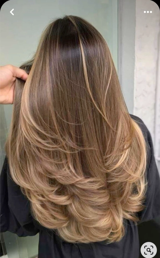 Patine shampoing brushing