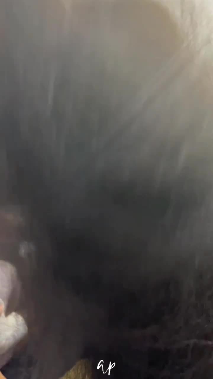 Vanille Taille 5 : Jusqu'à la taille